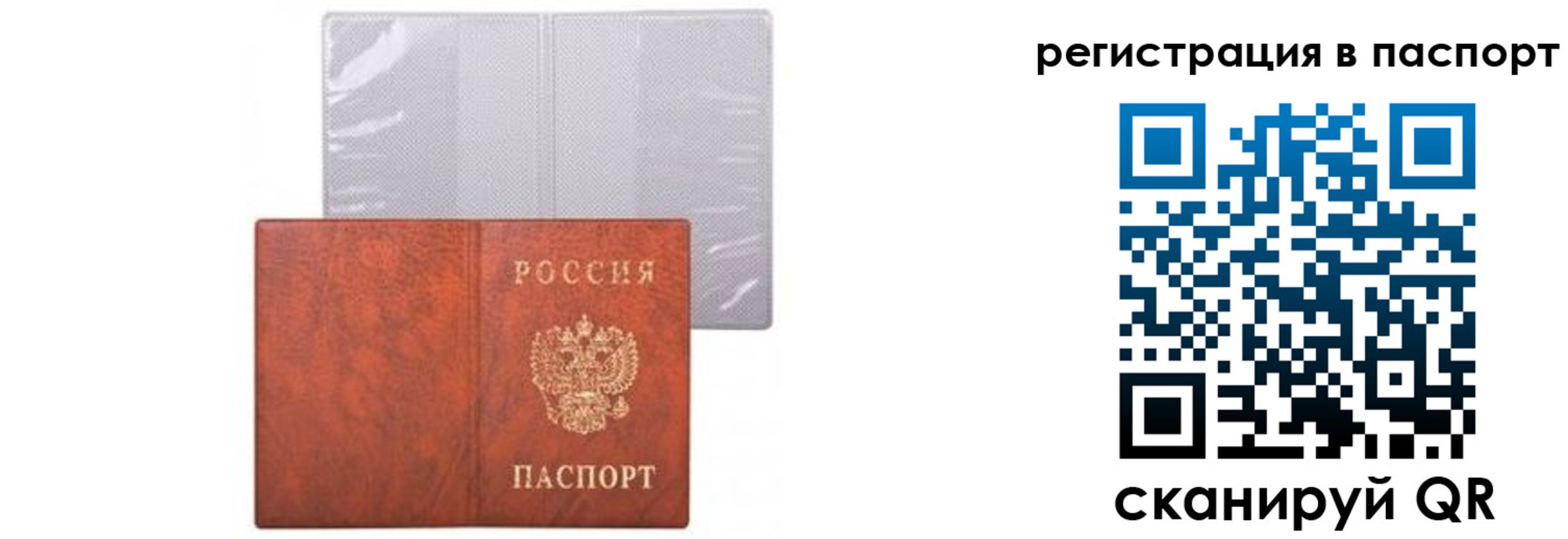 прописка ребенка в Бабаево